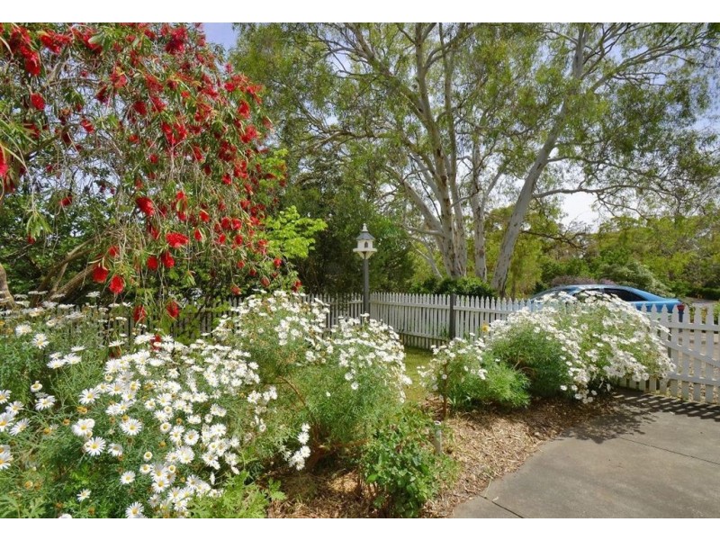 439 Main Road, Coromandel Valley SA 5051