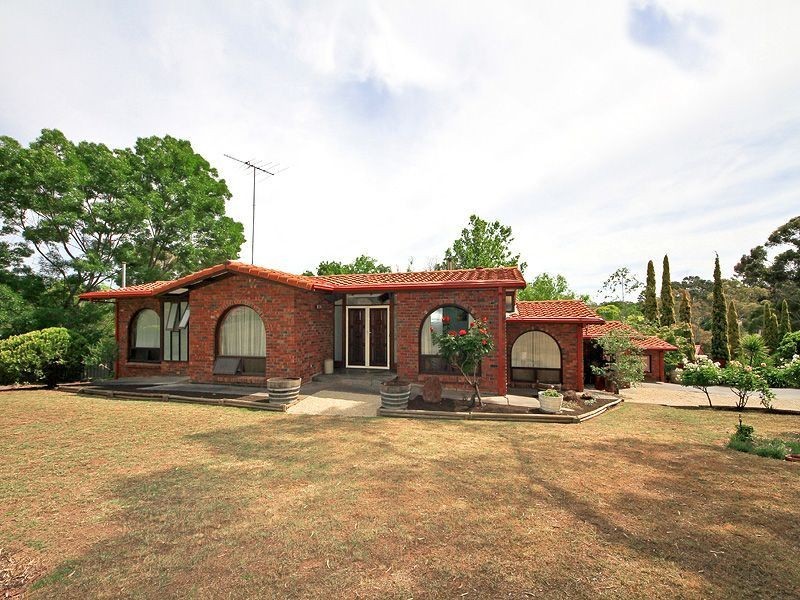 16 Redgum Drive, Belair SA 5052