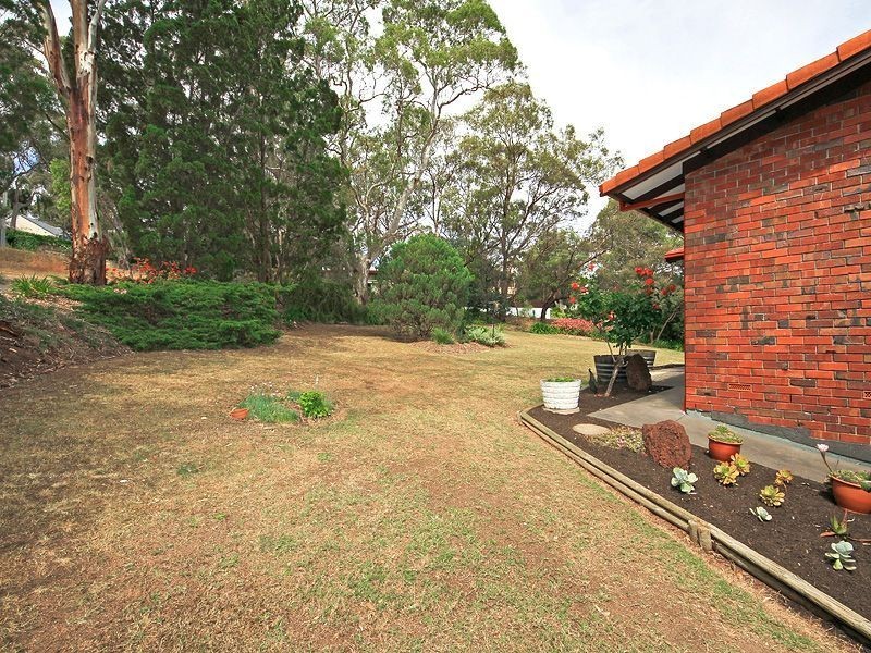 16 Redgum Drive, Belair SA 5052