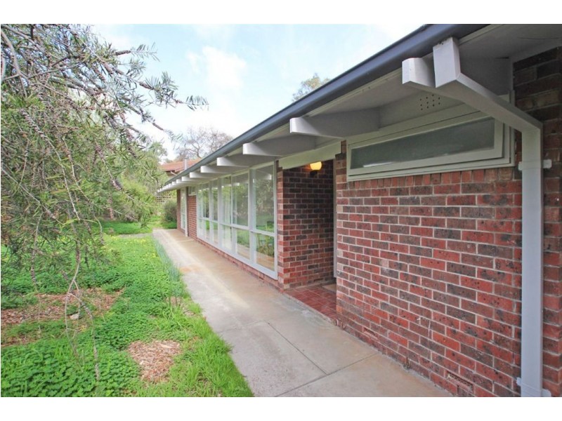 16 Hovea Street, Blackwood SA 5051