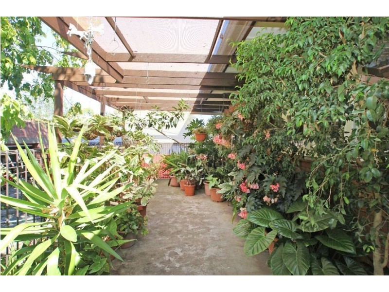 10 Mimosa Avenue, Blackwood SA 5051