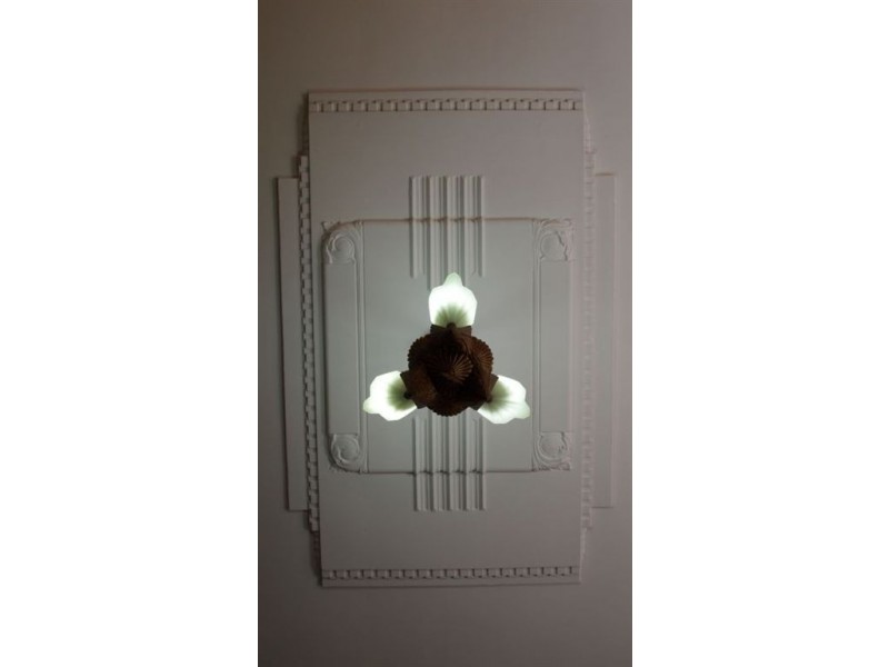 28 Fisk Avenue, Glengowrie SA 5044