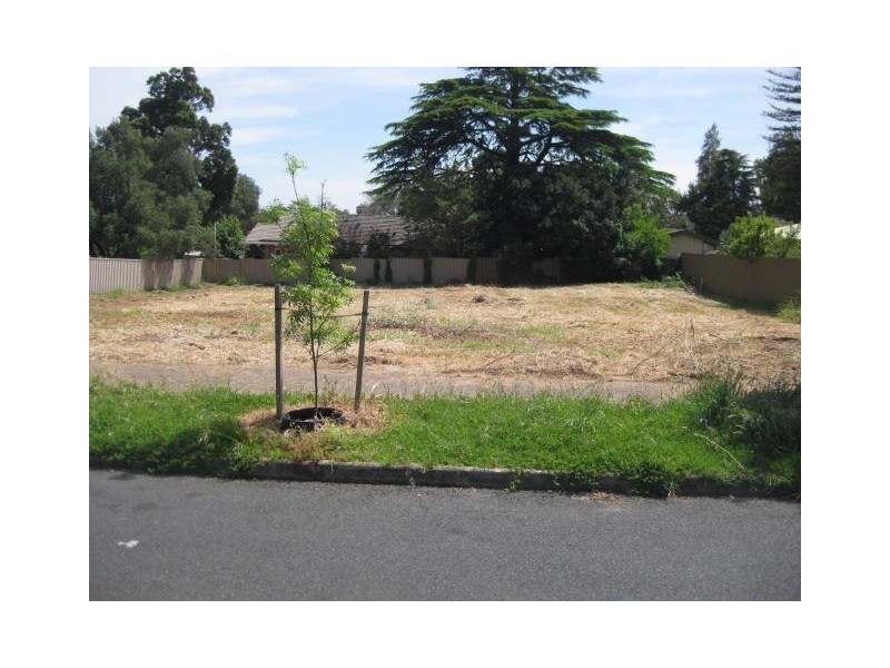 3 Lewis Avenue, Glen Osmond SA 5064