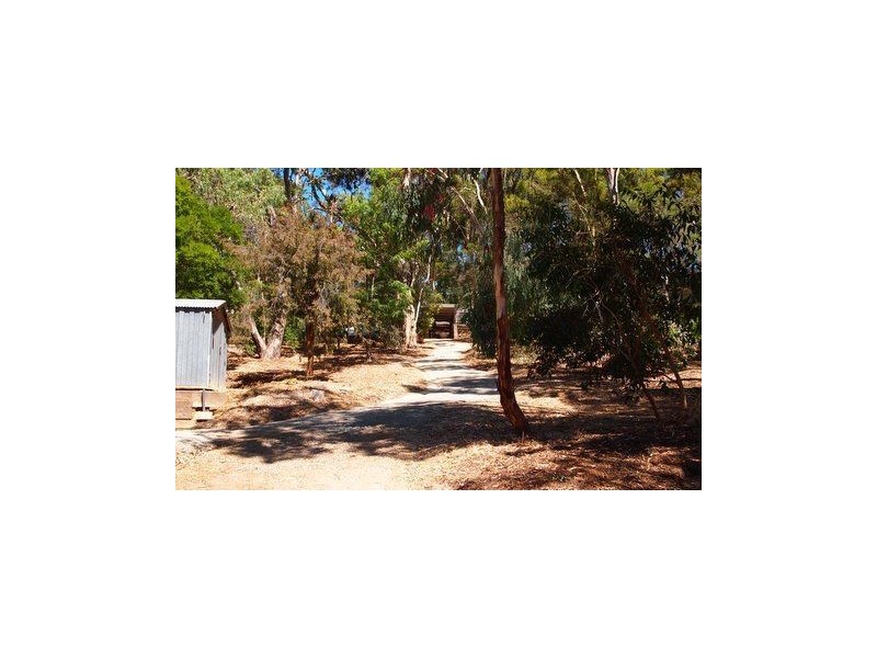 26 Winns Road, Coromandel Valley SA 5051