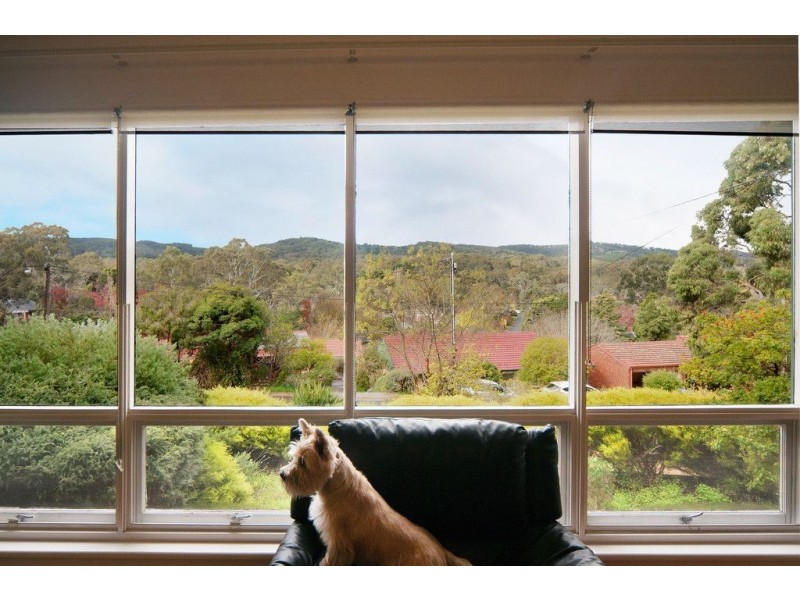 14 Sun Valley Drive, Glenalta SA 5052