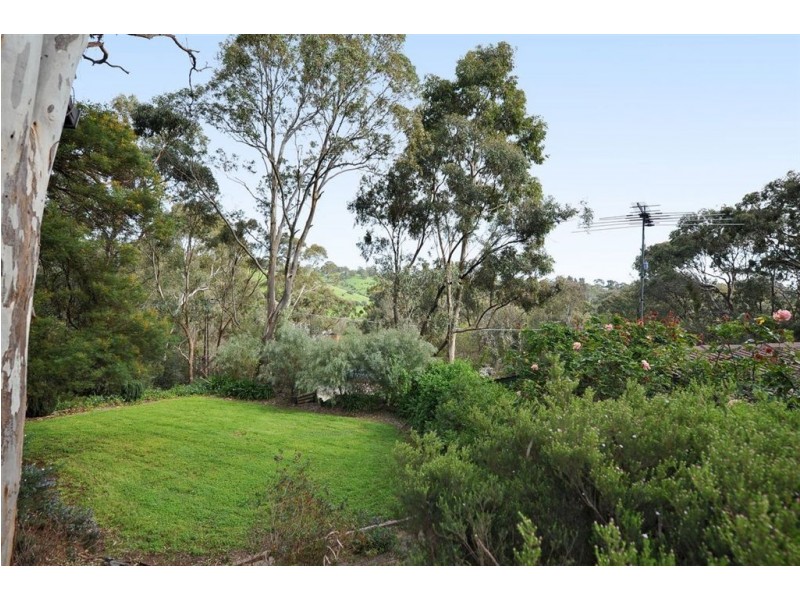 25 Hurds Hill Drive, Coromandel Valley SA 5051