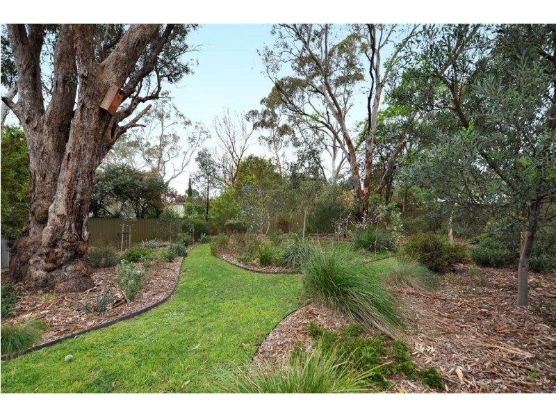 3 Pine Road, Hawthorndene SA 5051