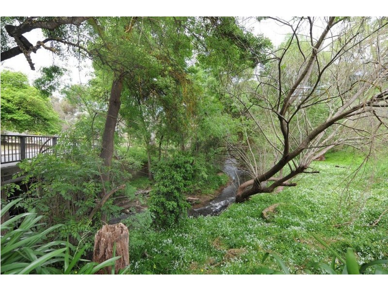 9 Shepherd Court, Coromandel Valley SA 5051