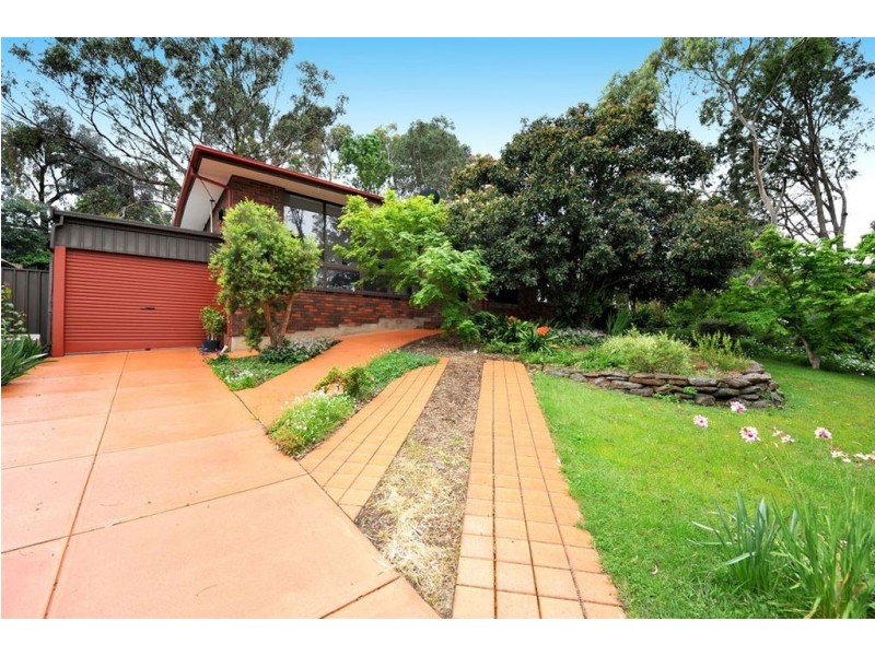 20 Meadow Avenue, Hawthorndene SA 5051