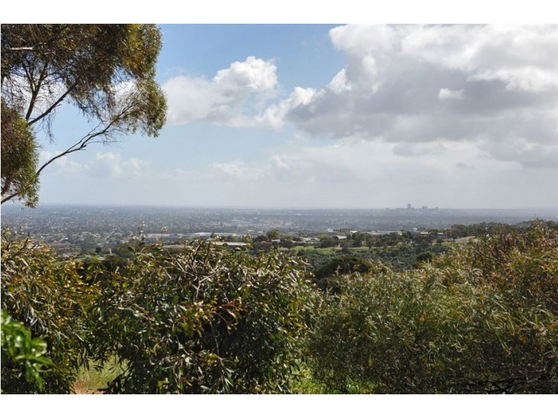 39 Warri Parri Drive, Flagstaff Hill SA 5159