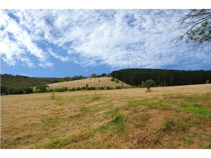 14 Turners Avenue, Coromandel Valley SA 5051