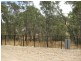 Lot 532 Fisher Crescent, Craigburn Farm SA 5051