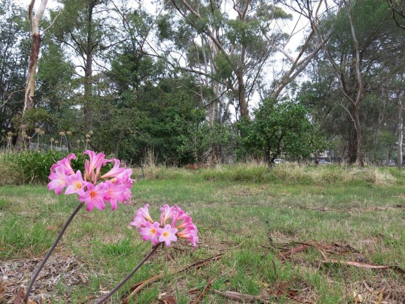 15 Woodleigh Road, Blackwood SA 5051