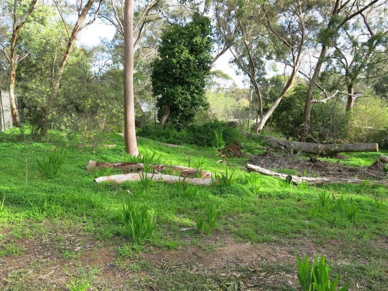 18a Edward Street, Blackwood SA 5051