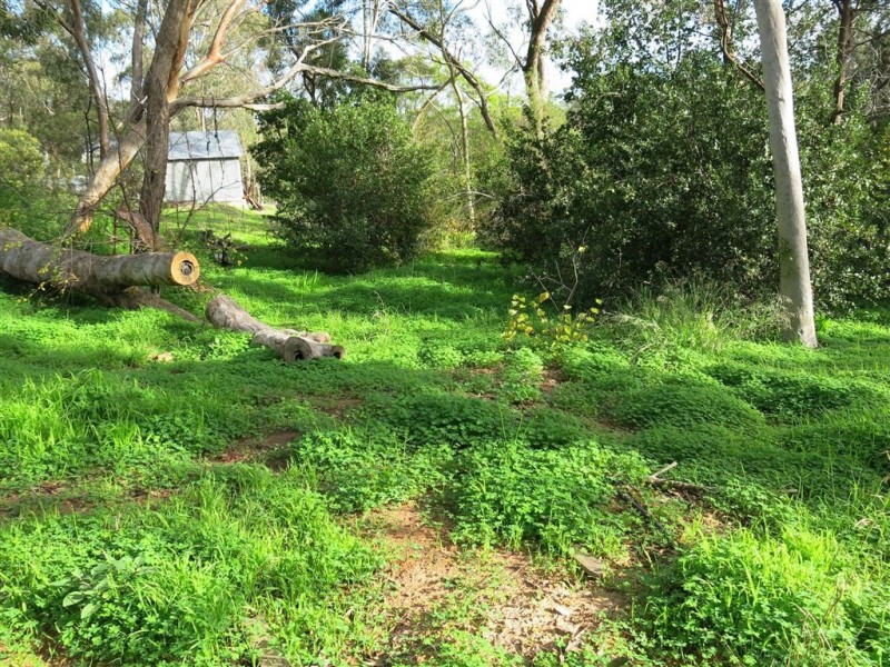 18a Edward Street, Blackwood SA 5051