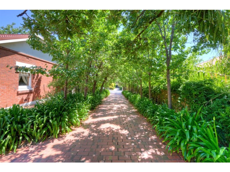 3 Adey Road, Blackwood SA 5051