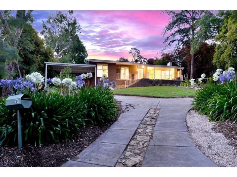36 Acacia Road, Hawthorndene SA 5051