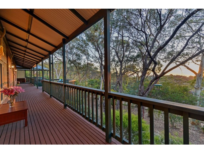 5 Culley Avenue, Belair SA 5052