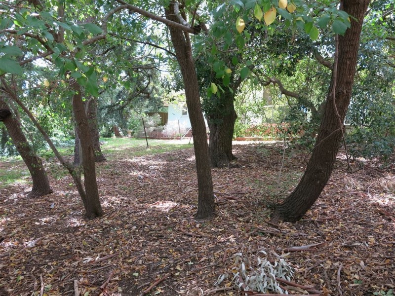 5 Surrey Street, Hawthorndene SA 5051