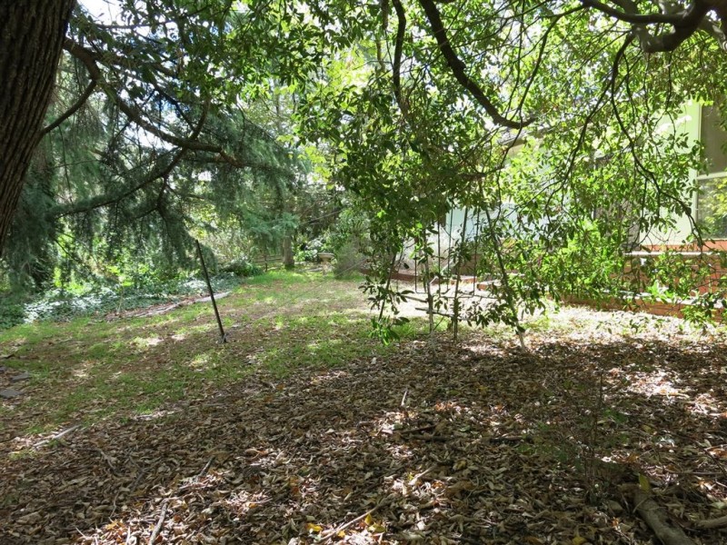 5 Surrey Street, Hawthorndene SA 5051