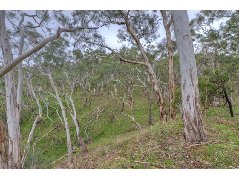 265 Sheoak Road, Crafers West SA 5152