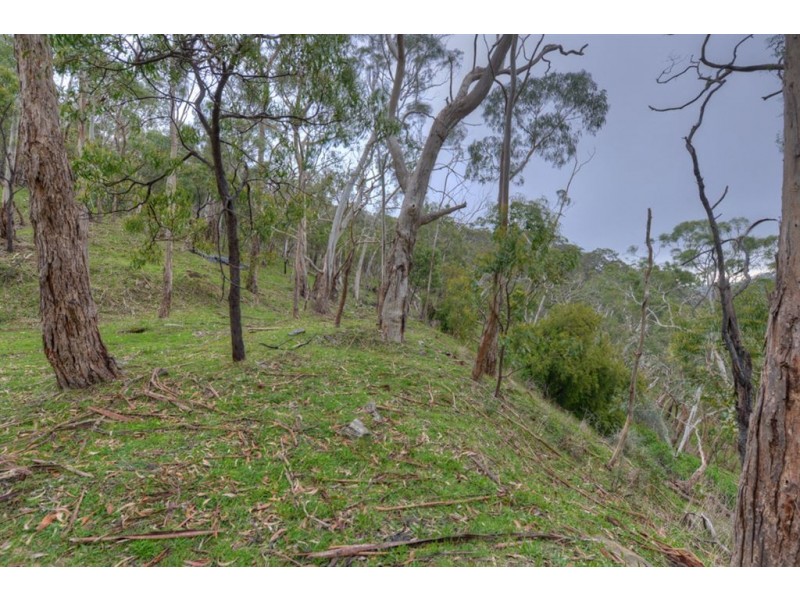 265 Sheoak Road, Crafers West SA 5152