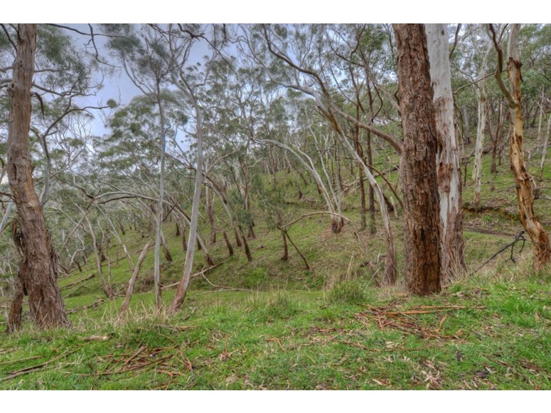 265 Sheoak Road, Crafers West SA 5152