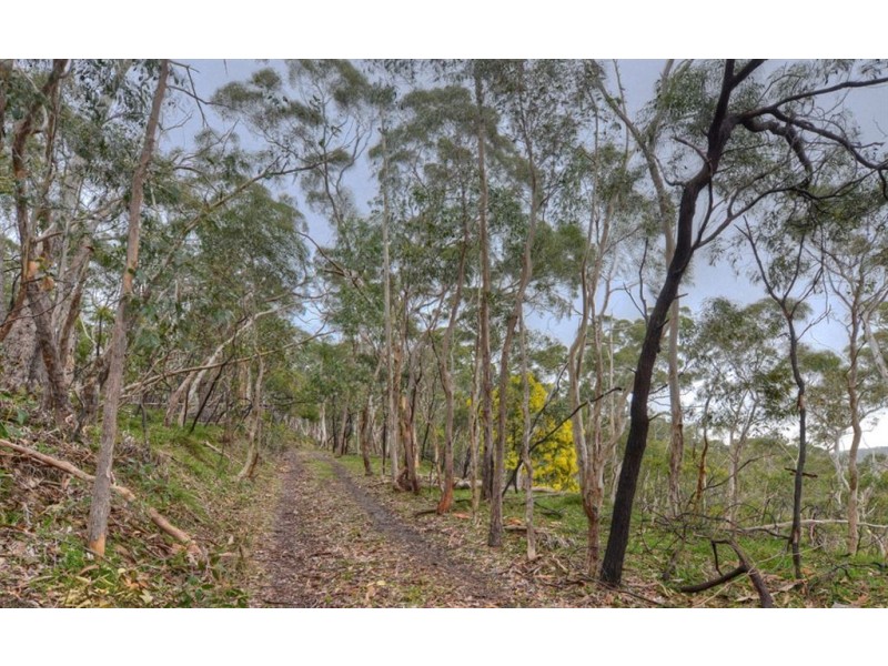 265 Sheoak Road, Crafers West SA 5152