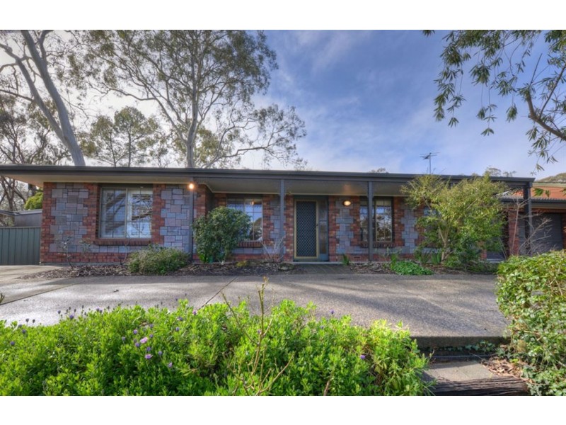 21 Blackthorn Avenue, Hawthorndene SA 5051