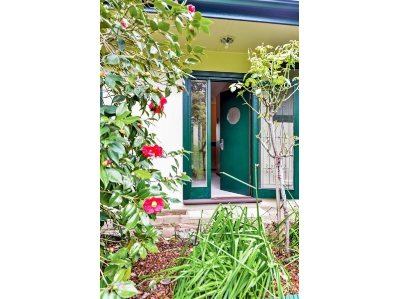 12 Forest Avenue, Hawthorndene SA 5051