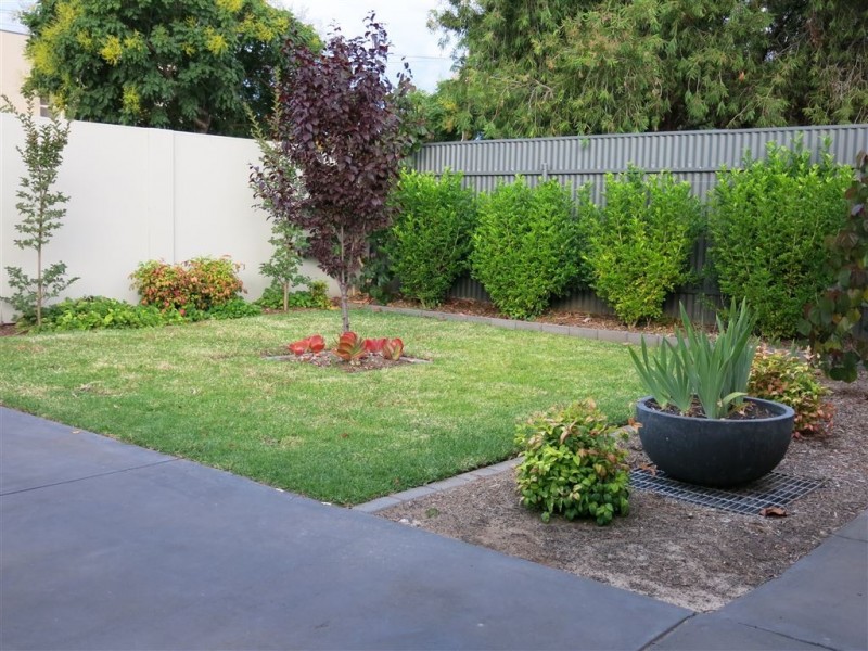 35 Ormond Avenue, Daw Park SA 5041