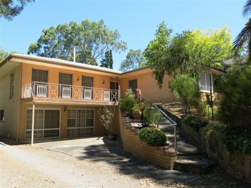 16 Boronia Avenue, Coromandel Valley SA 5051