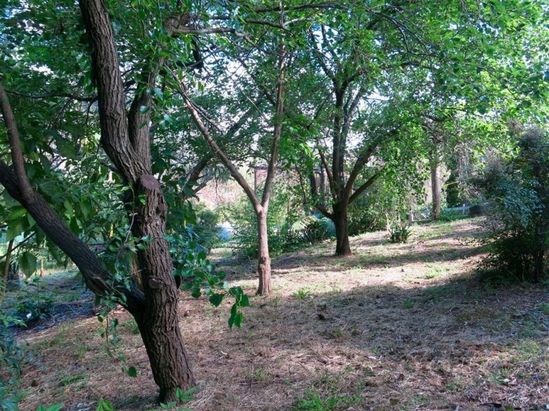 11 Sun Valley Drive, Glenalta SA 5052