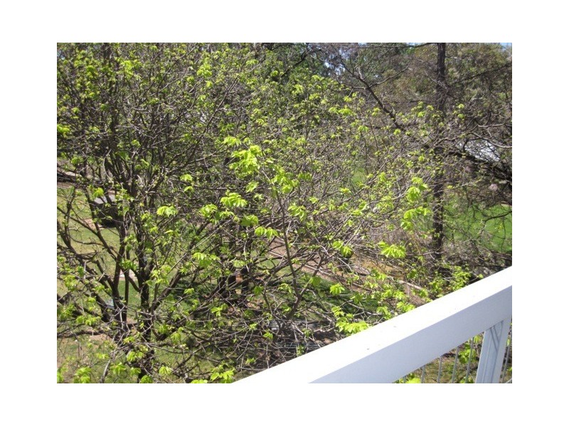 25/52A Henry Street, Stepney SA 5069