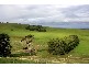Lot 1101 Wattle Flat Road, Ashbourne SA 5157