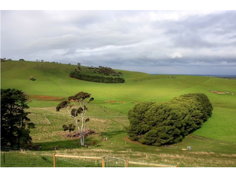 Lot 1101 Wattle Flat Road, Ashbourne SA 5157