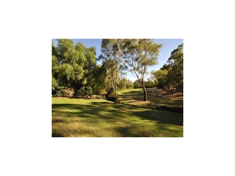 20 Paragon Ave, Aberfoyle Park SA 5159