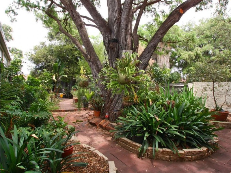 34 Swansea Street, Largs North SA 5016