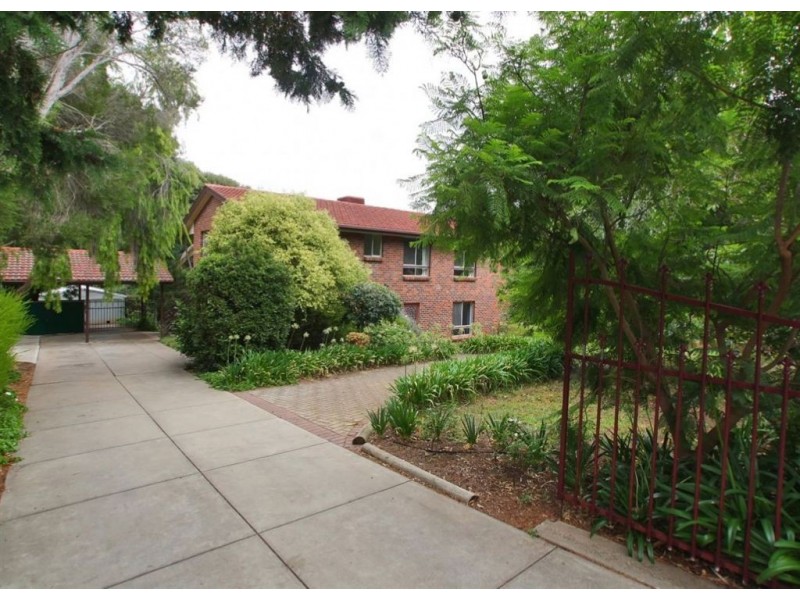 35 Strathcona Avenue, Panorama SA 5041