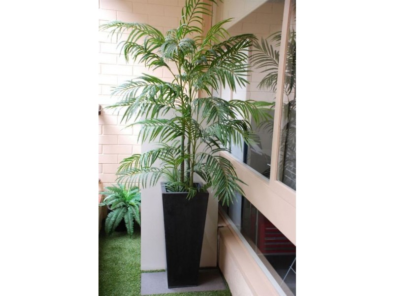 11/242 Trimmer Parade, West Lakes SA 5021