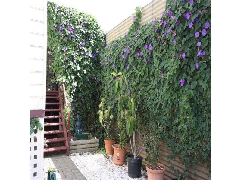 3/3 Sawford Street, Largs Bay SA 5016