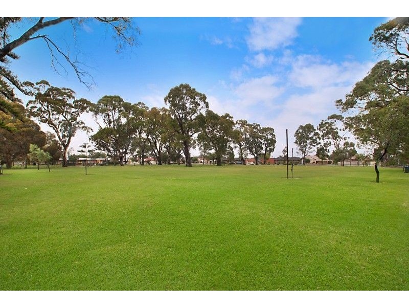 11 Myzantha Street, Lockleys SA 5032