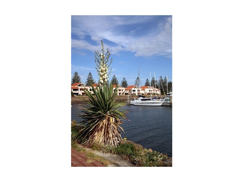 122 One and All Drive, North Haven SA 5018