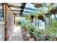 7 Allora Place, Semaphore Park SA 5019