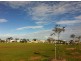 19 Brocas Ave, Woodville SA 5011