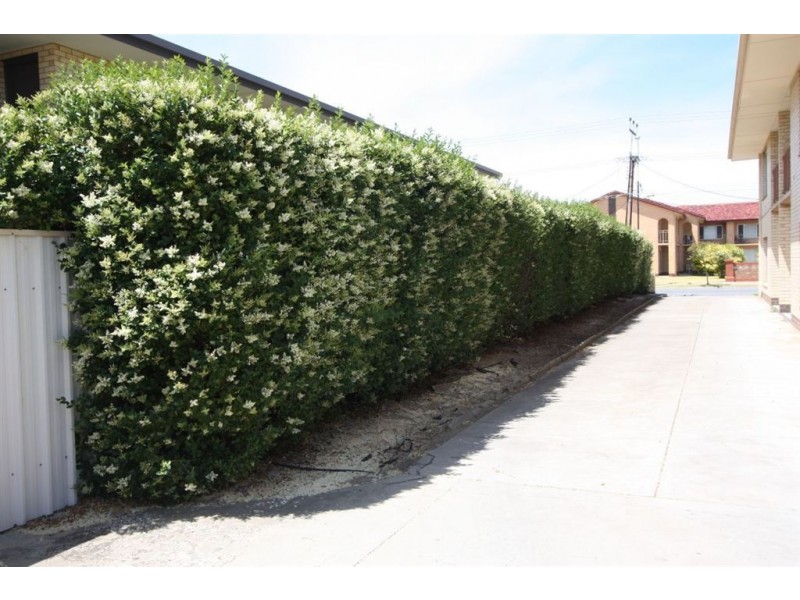 6/54 Marlborough Street, Fulham Gardens SA 5024