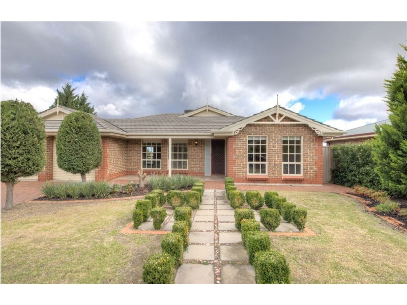 14 Panama Grove, Greenwith SA 5125