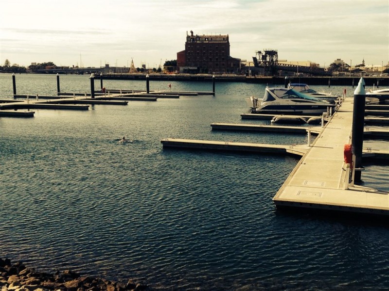 D4 Marina Berth, New Port SA 5015