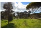 Lot 18 Binneys Track, Penneshaw SA 5222