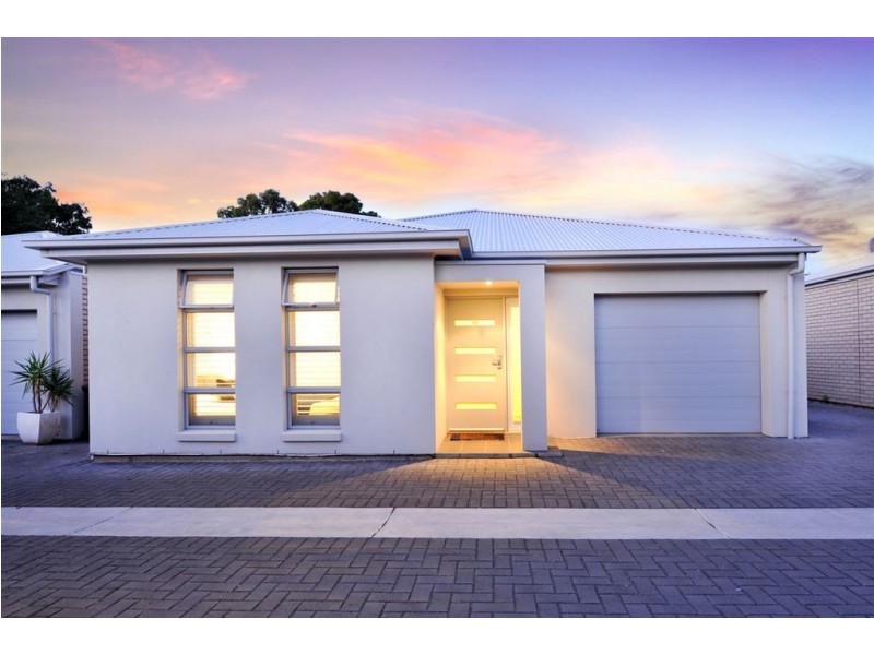 19 Downer Street, Plympton Park SA 5038